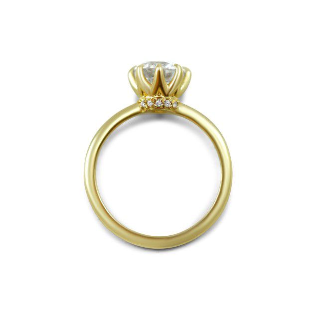 金色隐藏光环订婚戒指ld乐动官网