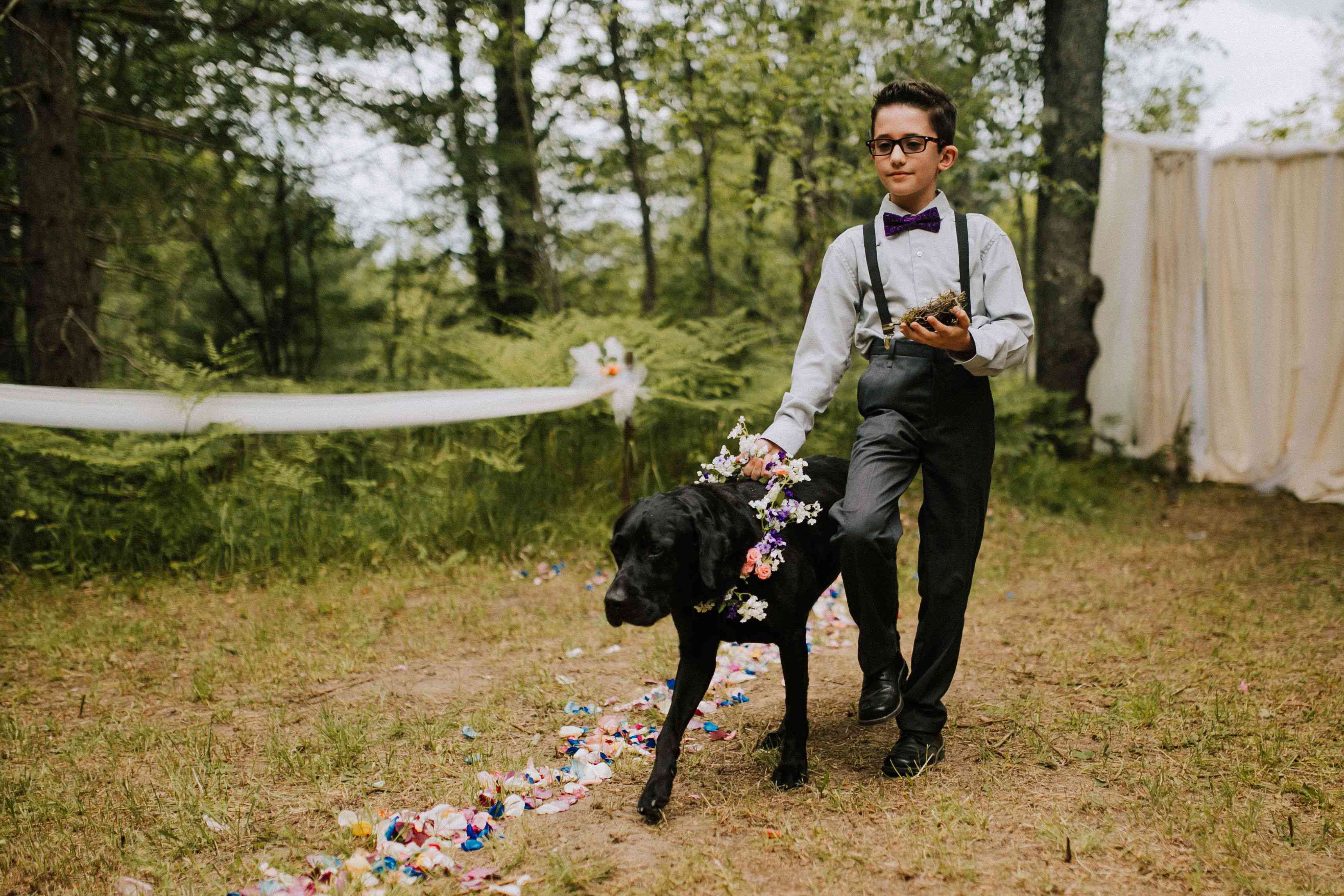 一只戴着花的黑狗由一个男孩护送