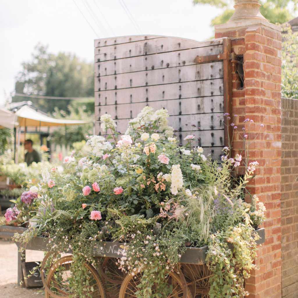 推车充满了鲜花