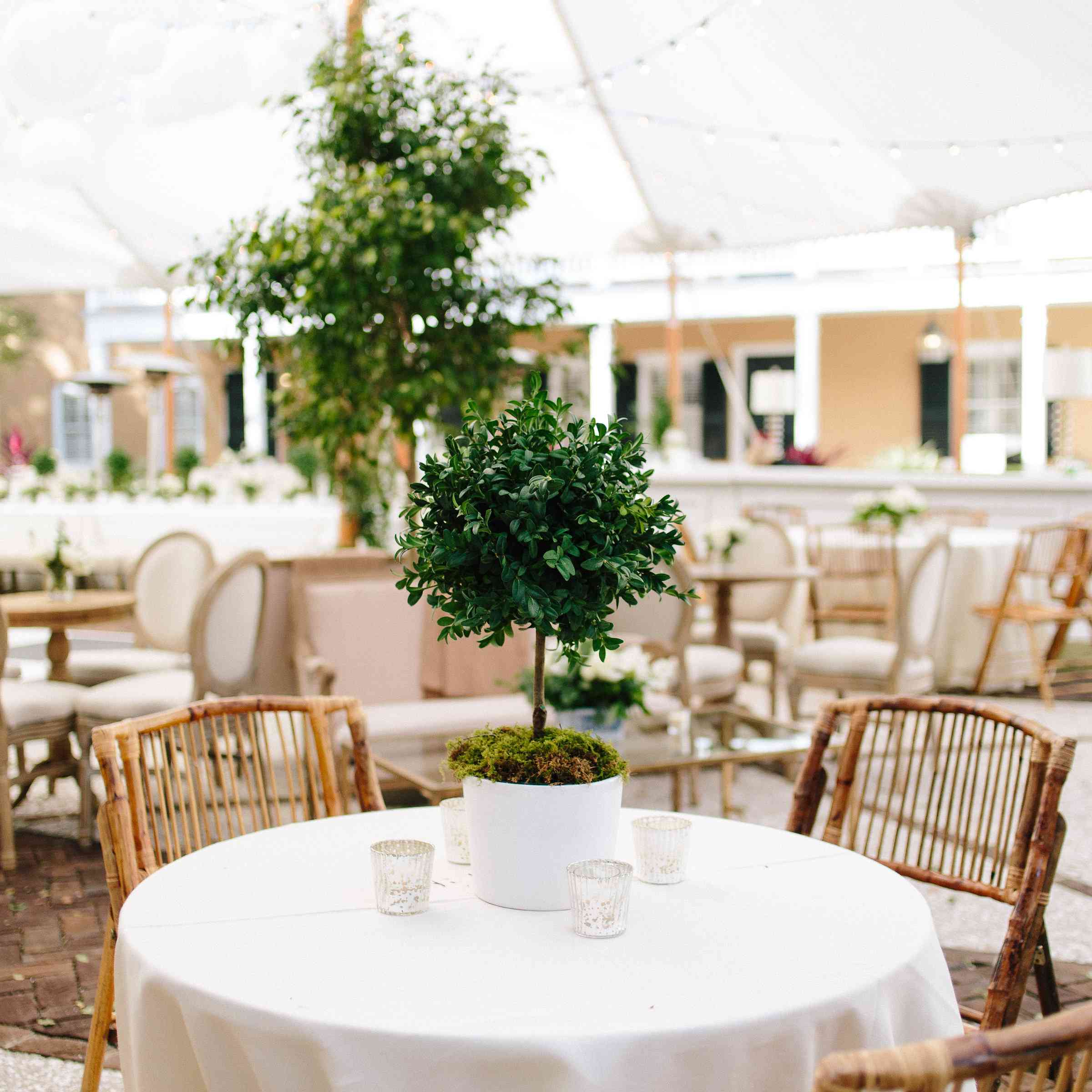 竹座位和黄杨木的中心焦点