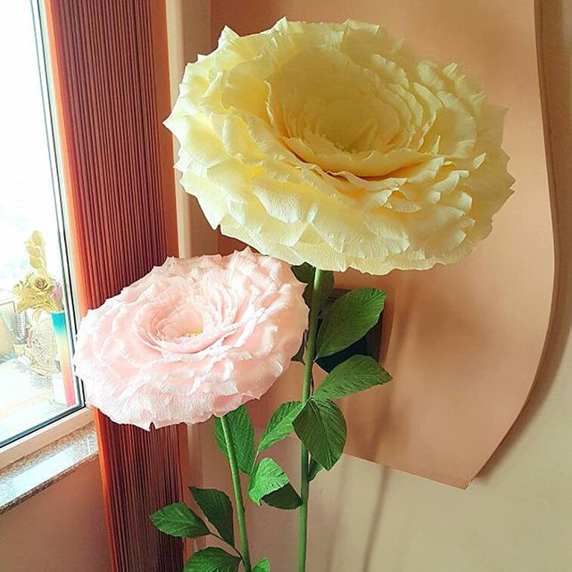 Etsy的巨型牡丹纸