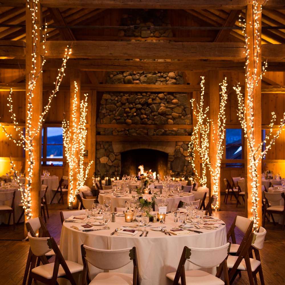 树木被彩灯包裹着