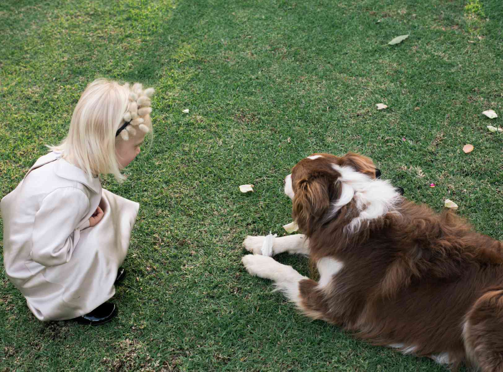 <p>带狗卖花女</p><br><br>