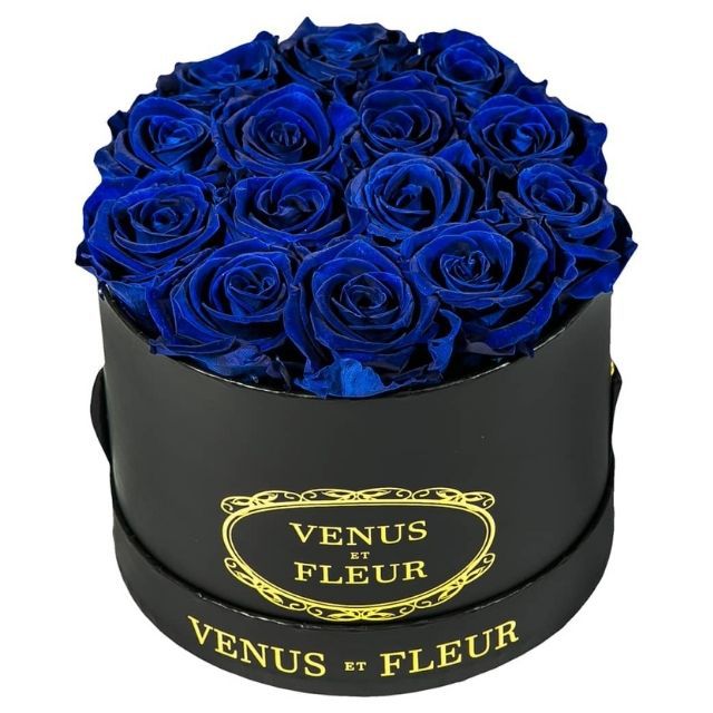 深蓝色维纳斯与芙蓉经典系列