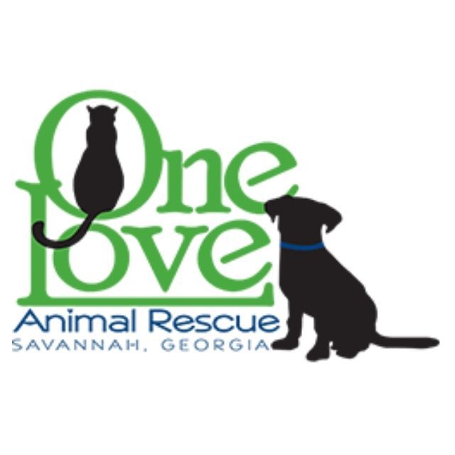 一爱动物救援捐赠