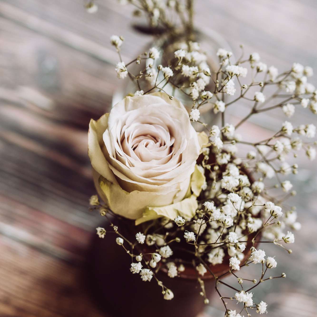 木桌上的花瓶里插着一朵玫瑰，散发着婴儿的气息