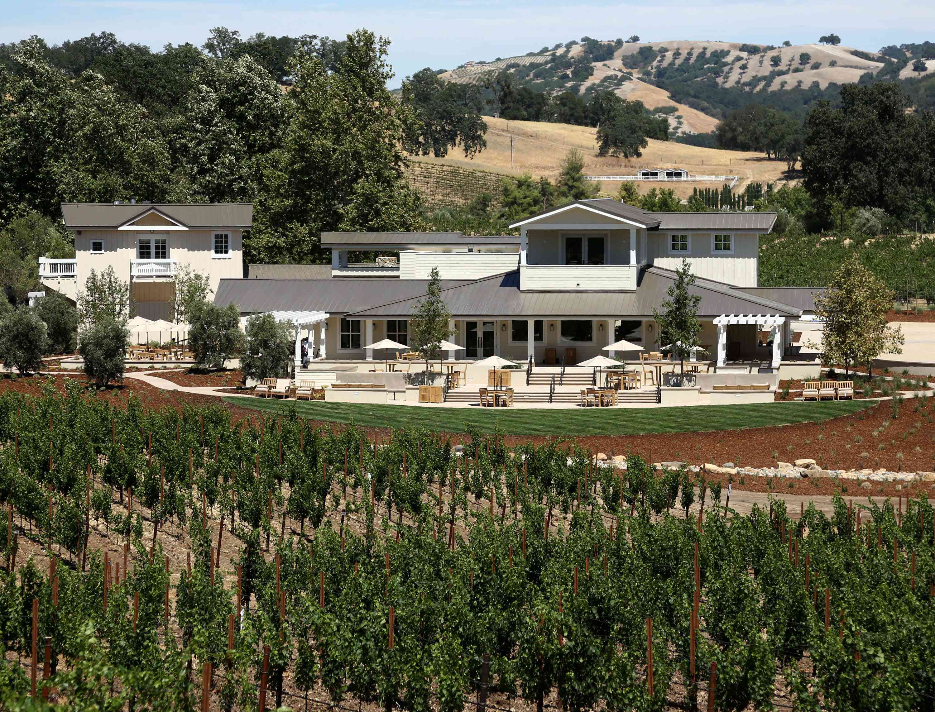 葡萄园内的建筑