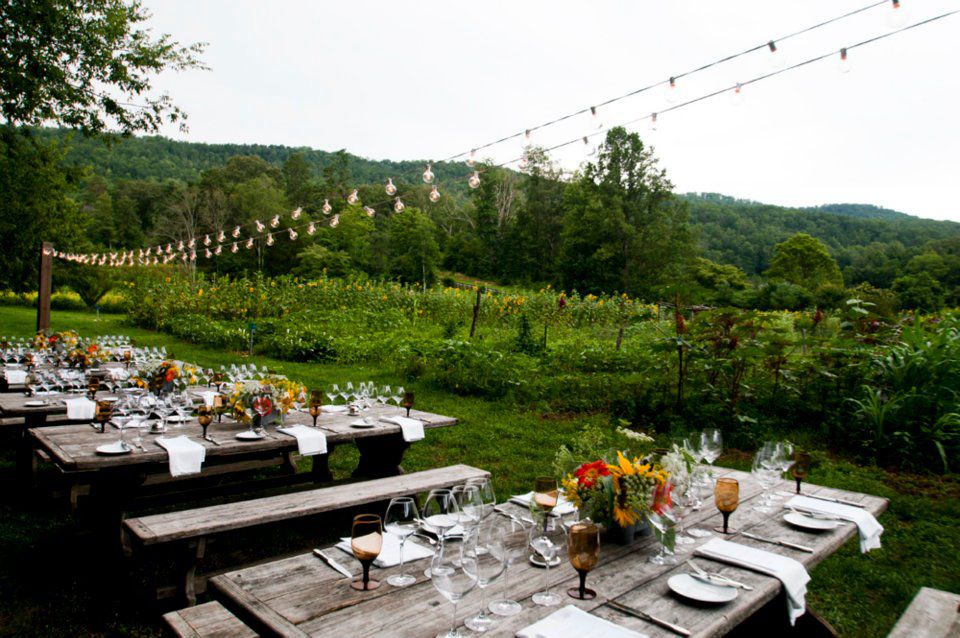 黑莓农场，沃兰，田纳西州
