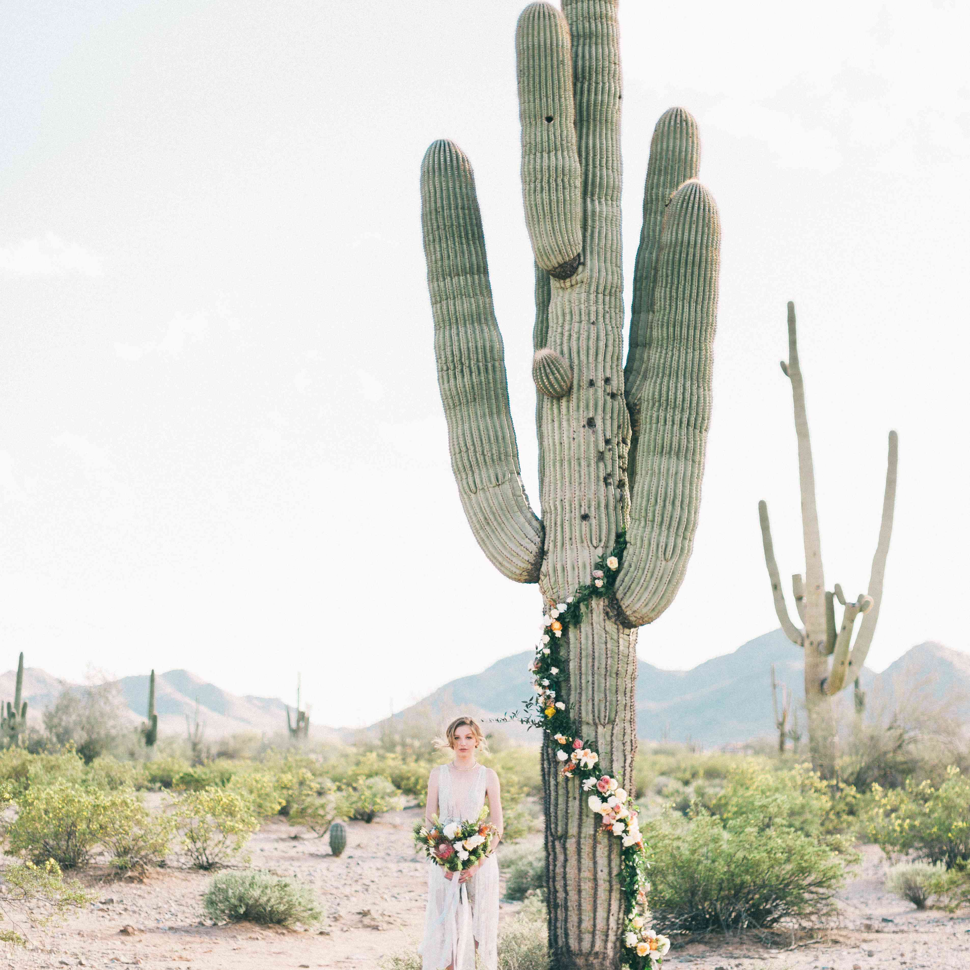 仙人掌拱门与新娘