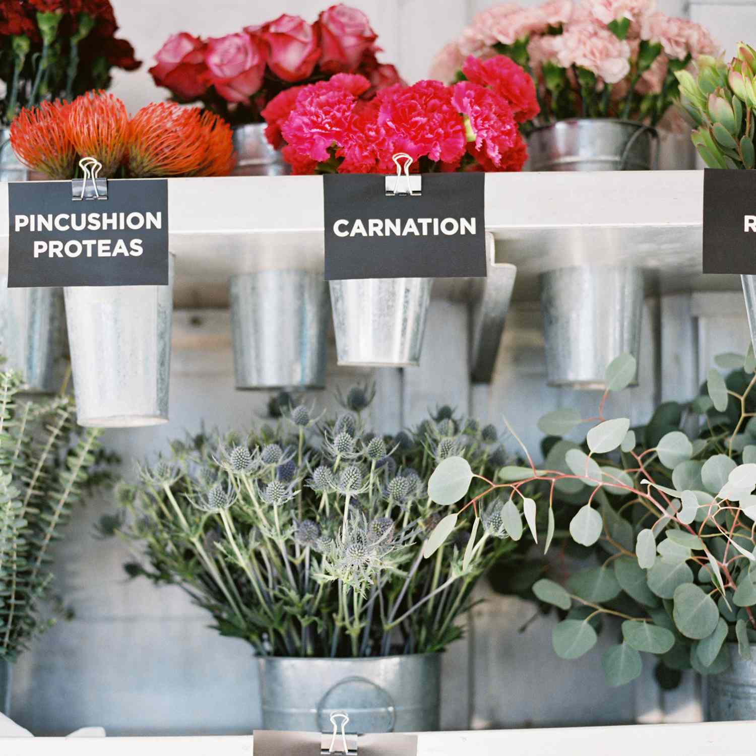 <P>插花</ P>搜索结果