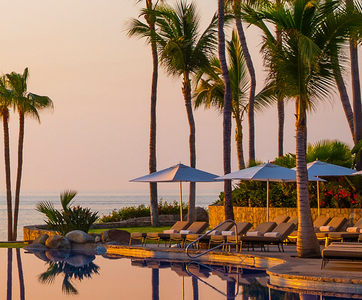 唯一的帕米拉，圣荷西德尔卡波