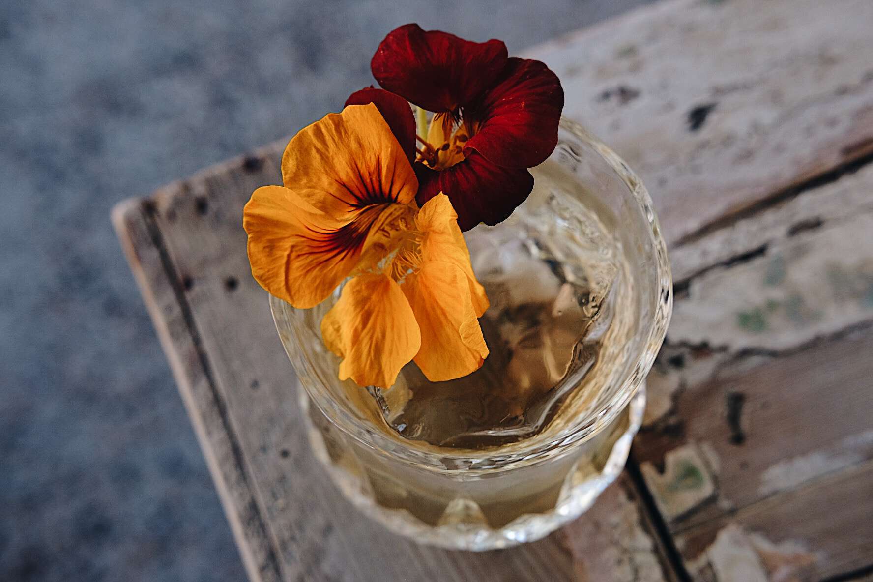 采购产品酒精，签名鸡尾酒，饮料，杯子，冰，饮料，酒吧，可食用的花，花，海波杯