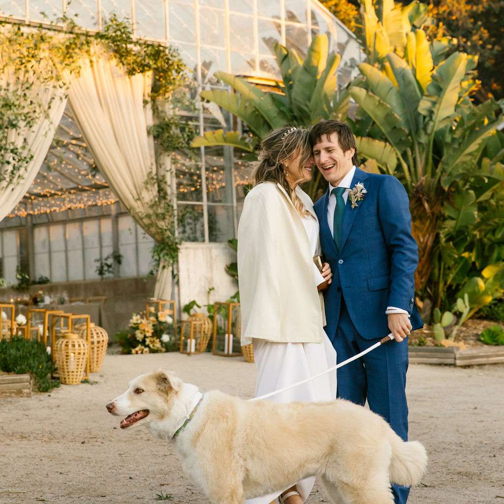 与狗的新娘和新郎