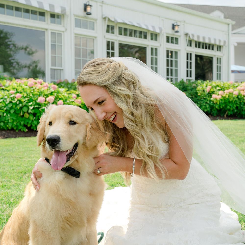 经典的半半向上向下