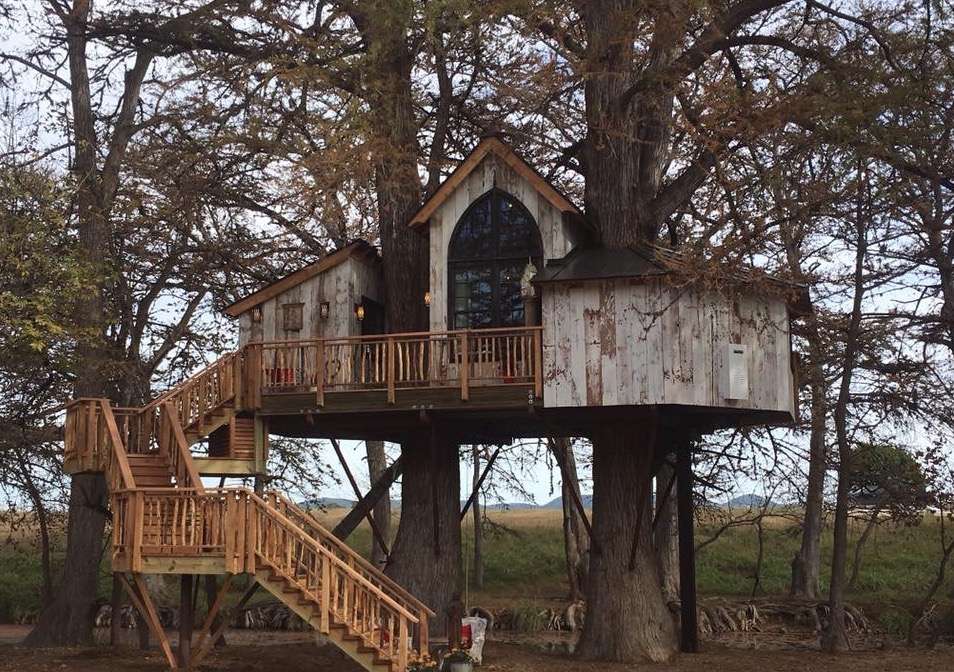 树屋