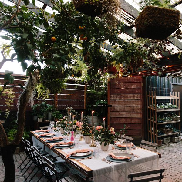 新娘花洒台，带绿色植物