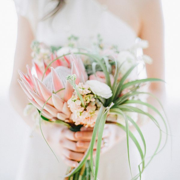 <P>景普罗蒂亚花束与束状空气的植物</ P>