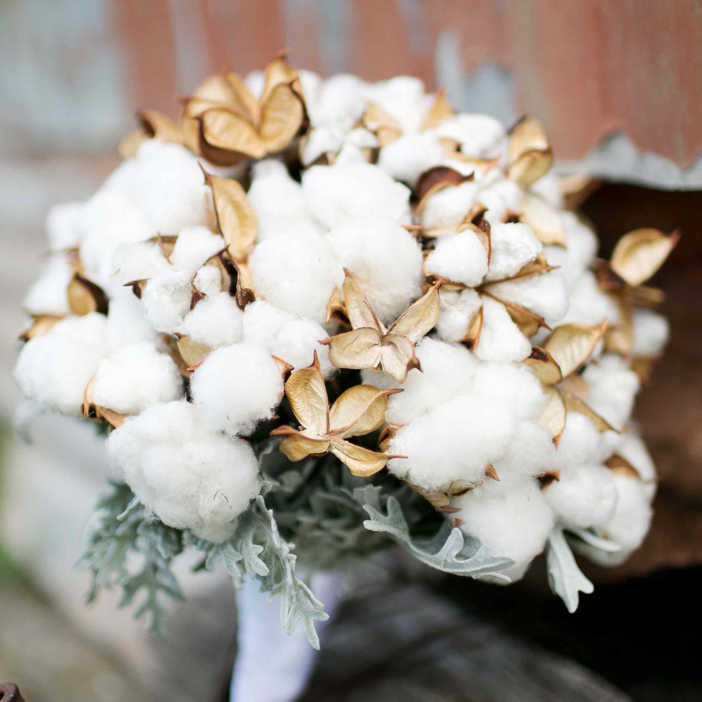 棉花和树叶的花束