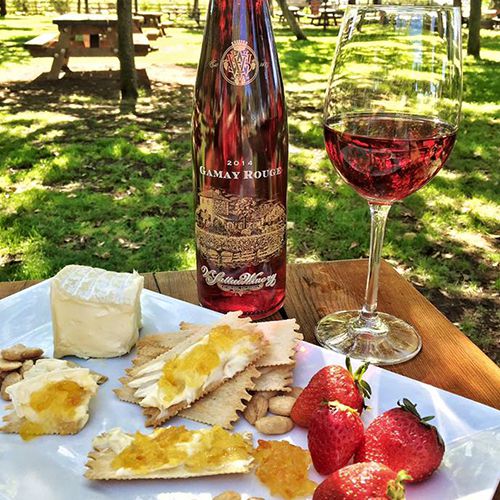 纳帕谷的单身女郎派对