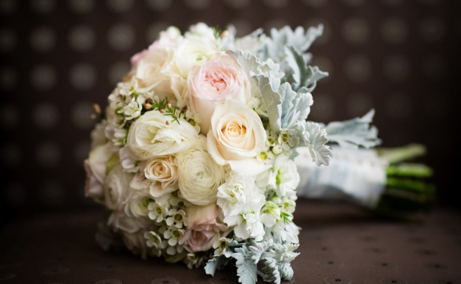 费城的医师在宾夕法尼亚州费城学院