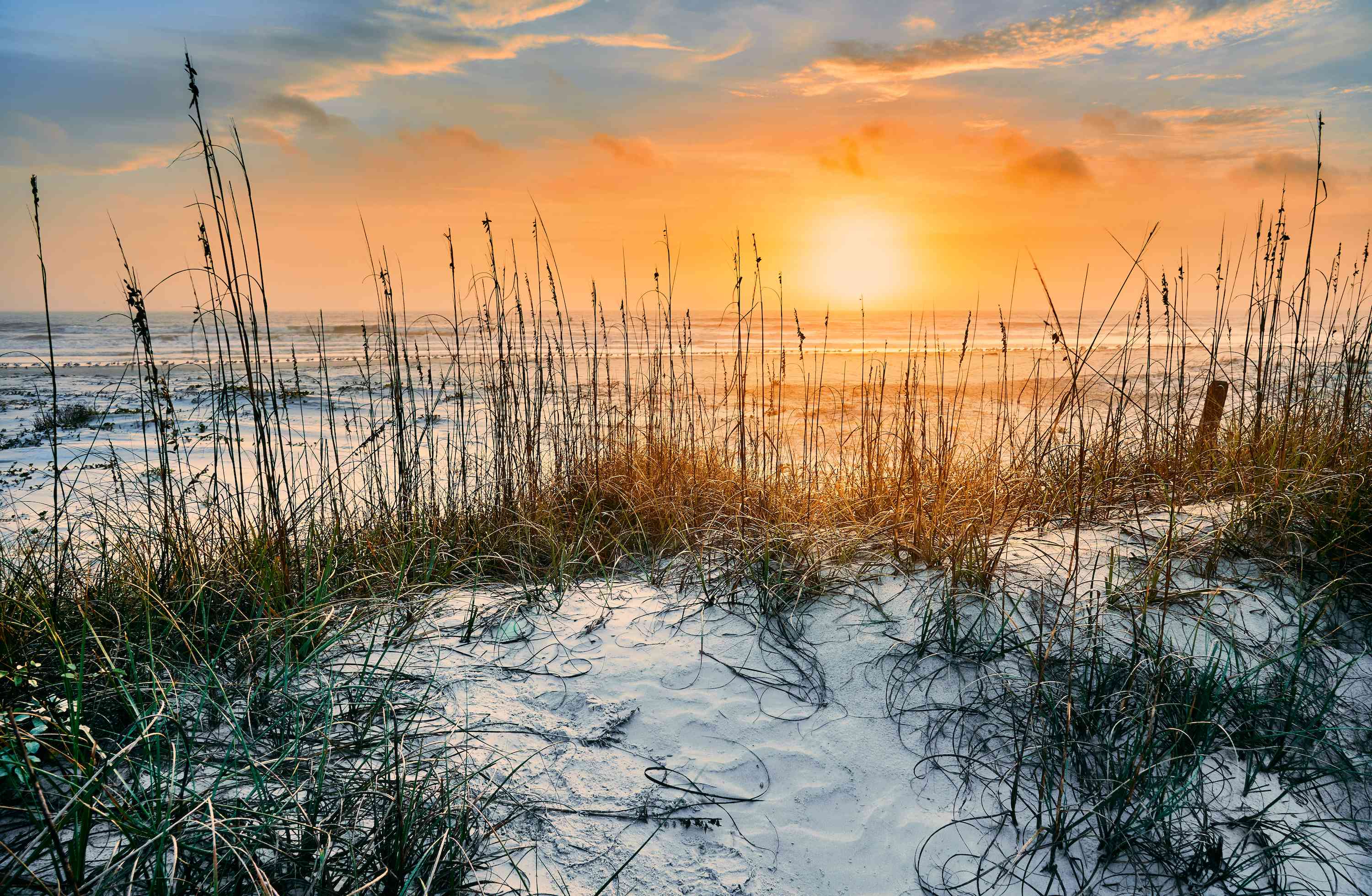 坎伯兰岛国家海滨的白色沙滩