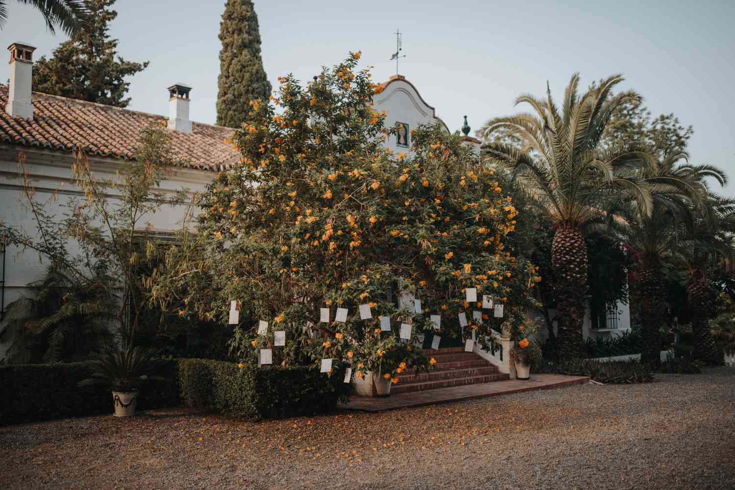 <p>接待场地</ p> <br> <br> <br>