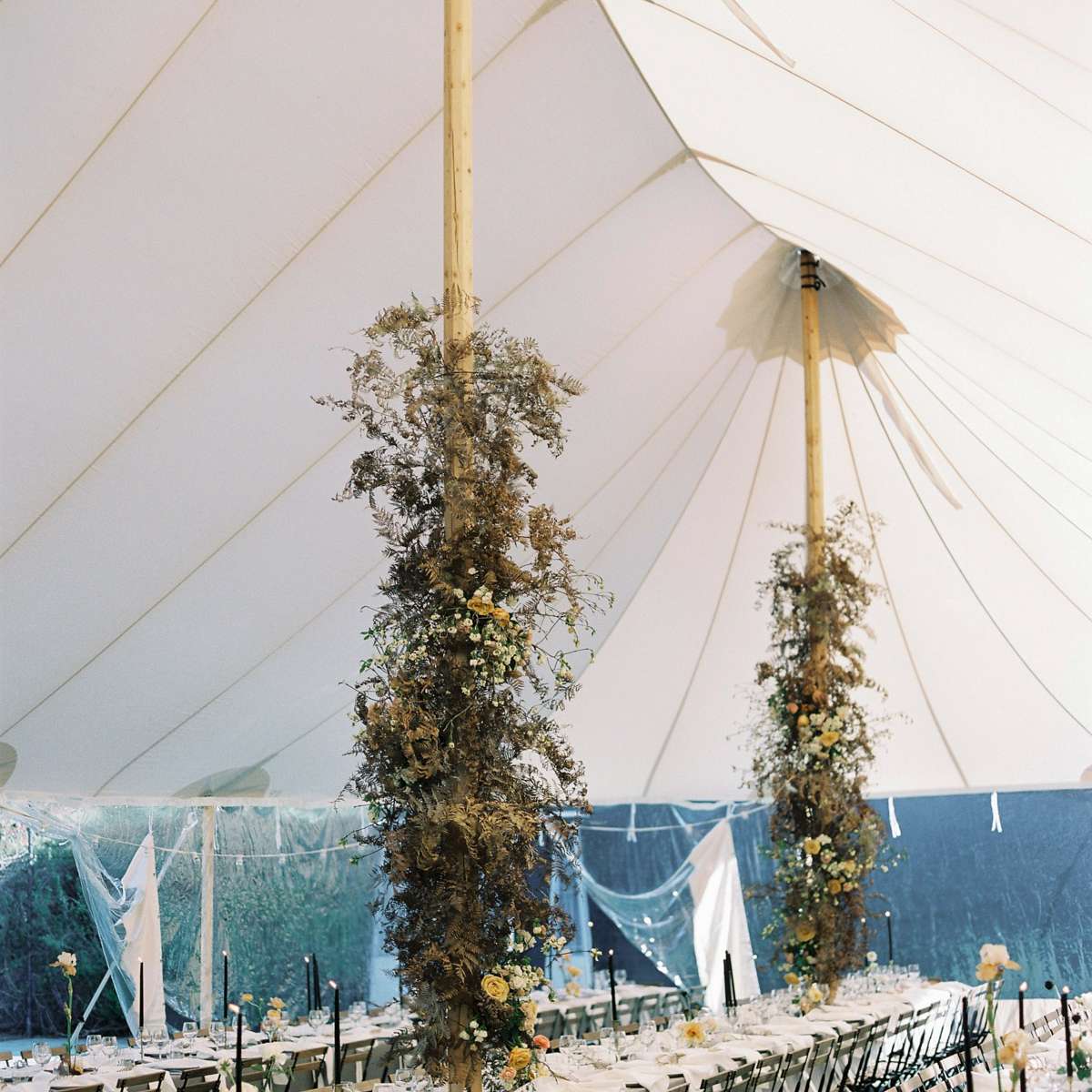 <P>10吨细节</ P>搜索结果