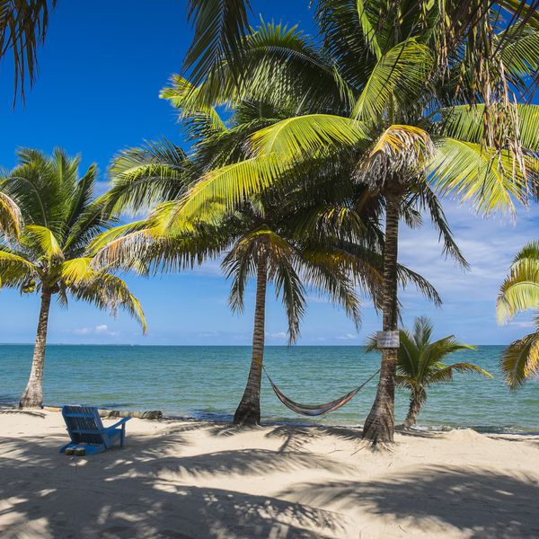 吊床在伯利兹两个掌心树之间吊。“class=