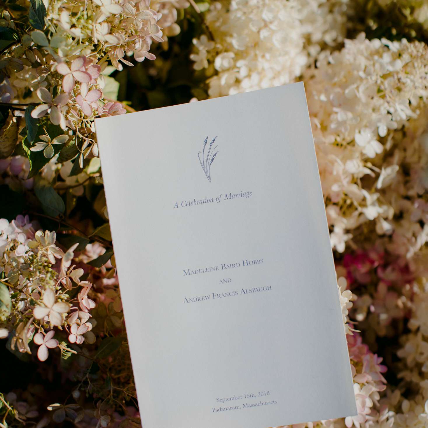 家庭乡村马萨诸塞州婚礼，仪式程序反对鲜花